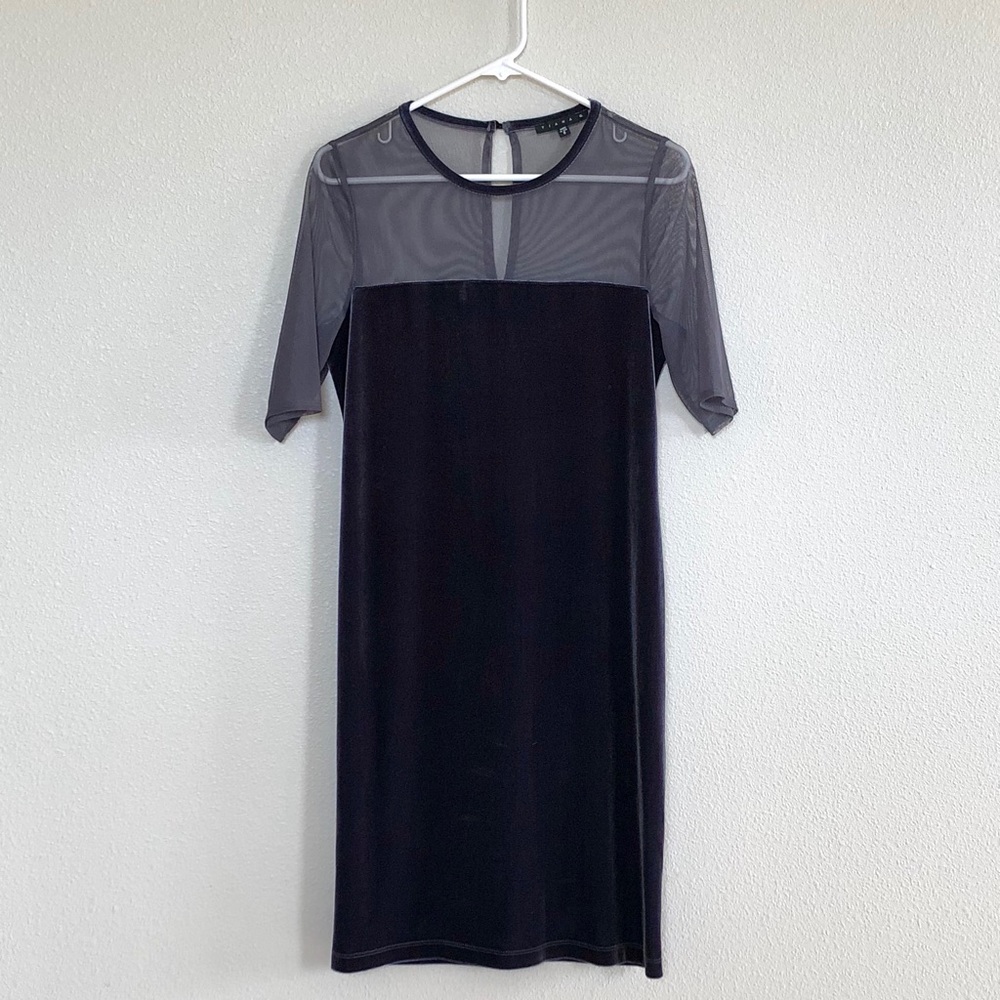 Tiana B Mesh and Velvety Dress